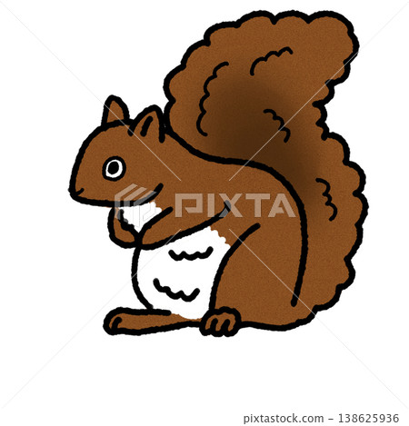 Illustration of simple squirrel Illustration of simple squirrel 138625936