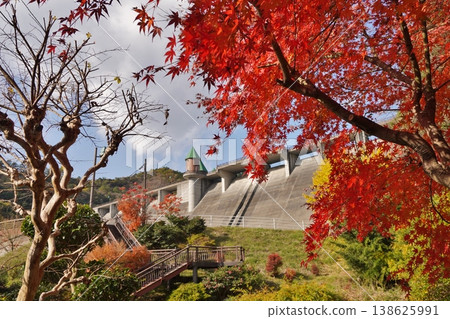 笹栗、鳴淵水壩、源光山、明石寺的紅葉 笹栗、鳴淵水壩、源光山、明石寺的紅葉 138625991
