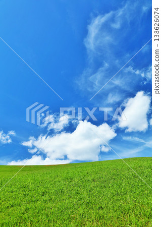 清爽的夏日藍天和清新的綠色草甸景觀 清爽的夏日藍天和清新的綠色草甸景觀 138626074