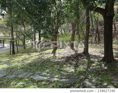 Kobe City, Nishi Ward, Seishin-Chuo, Seishin-Chuo Park, cherry blossoms, etc. 138627190