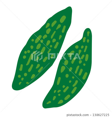 Illustration of bitter melon Illustration of bitter melon 138627225