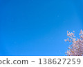 櫻花暴風雪和藍天 138627259