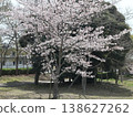 Kobe City, Nishi Ward, Seishin-Chuo, Seishin-Chuo Park, cherry blossoms, etc. 138627262
