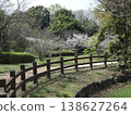 Kobe City, Nishi Ward, Seishin-Chuo, Seishin-Chuo Park, cherry blossoms, etc. 138627264