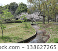 Kobe City, Nishi Ward, Seishin-Chuo, Seishin-Chuo Park, cherry blossoms, etc. 138627265