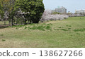Kobe City, Nishi Ward, Seishin-Chuo, Seishin-Chuo Park, cherry blossoms, etc. 138627266