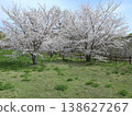 Kobe City, Nishi Ward, Seishin-Chuo, Seishin-Chuo Park, cherry blossoms, etc. 138627267