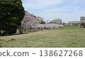 Kobe City, Nishi Ward, Seishin-Chuo, Seishin-Chuo Park, cherry blossoms, etc. 138627268