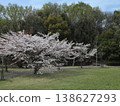 Kobe City, Nishi Ward, Seishin-Chuo, Seishin-Chuo Park, cherry blossoms, etc. 138627293