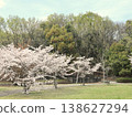 Kobe City, Nishi Ward, Seishin-Chuo, Seishin-Chuo Park, cherry blossoms, etc. 138627294