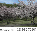 Kobe City, Nishi Ward, Seishin-Chuo, Seishin-Chuo Park, cherry blossoms, etc. 138627295