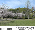 Kobe City, Nishi Ward, Seishin-Chuo, Seishin-Chuo Park, cherry blossoms, etc. 138627297