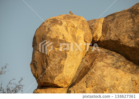 face shape rock face shape rock 138627361