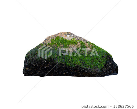sea stone with algae isolated on white background sea stone with algae isolated on white background 138627566