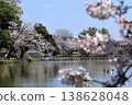 Omiya Park: Cherry blossoms in full bloom 138628048
