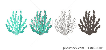 set of hand-drawn seaweed and coral silhouettes in different styles including line art and flat design, perfect for marine-themed branding, educational materials about ocean life, and spa product set of hand-drawn seaweed and coral silhouettes in different styles including line art and flat design, perfect for marine-themed branding, educational materials about ocean life, and spa product 138628405