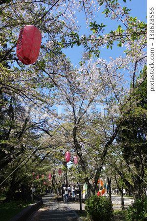 Cherry blossoms at Oyama Green Park in Takahama City Cherry blossoms at Oyama Green Park in Takahama City 138628556