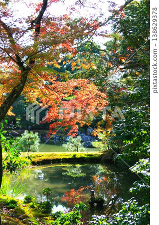 Autumn leaves reflected in the pond on a sunny day 138629378