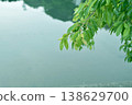 Fresh green reflected on the lake surface 138629700