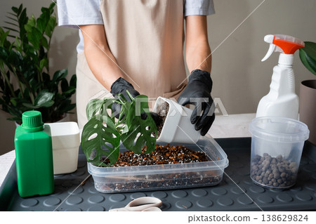 Person in black gloves using a white cup to scoop soil mix for repotting plants. Person in black gloves using a white cup to scoop soil mix for repotting plants. 138629824