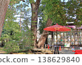Omiya Hikawa Shrine, Picture Hall 138629840