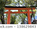 Omiya Hikawa Shrine Torii 138629843