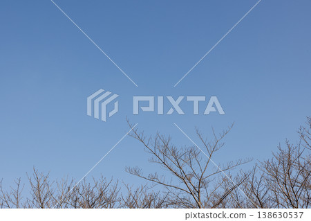 Sky 00311 Sky 00311 138630537