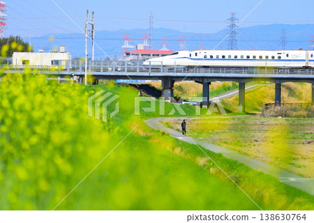 Rape flowers and bullet train 138630764