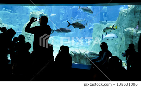 Large Aquarium with Sharks and Visitors Watching Marine Life 138631096