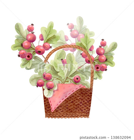 Watercolor autumn berry basket illustration. Cozy rustic harvest clipart with hawthorn berries and leaves. Cottagecore fall design Watercolor autumn berry basket illustration. Cozy rustic harvest clipart with hawthorn berries and leaves. Cottagecore fall design 138632094