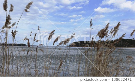 Early Spring Thaw on Lake with Reeds and Ice Early Spring Thaw on Lake with Reeds and Ice 138632471