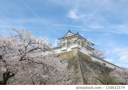 Himeji Castle in full bloom of spring (Himeji City, Hyogo Prefecture) Himeji Castle in full bloom of spring (Himeji City, Hyogo Prefecture) 138632574