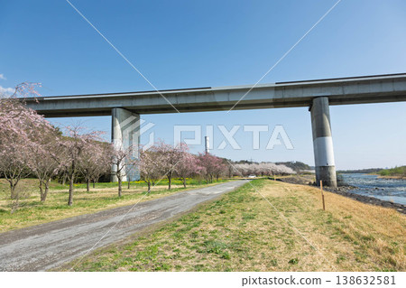 View of the Tonegawa Bridge on the Kan-Etsu Expressway from Tonegawa Riverbed Park View of the Tonegawa Bridge on the Kan-Etsu Expressway from Tonegawa Riverbed Park 138632581