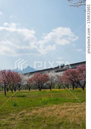 View of the Tonegawa Bridge on the Kan-Etsu Expressway from Tonegawa Riverbed Park 138632601