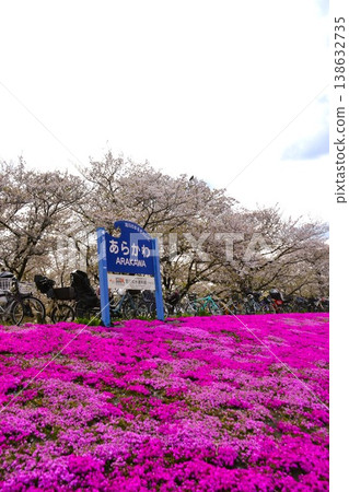 Arakawa Akabane Sakurajutsu綠地 Arakawa Akabane Sakurajutsu綠地 138632735