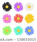 Realistic chamomile daisy flower icon collection 138633015