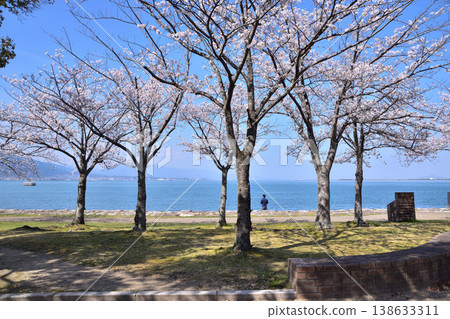 大津湖濱公園渚長廊的櫻花 大津湖濱公園渚長廊的櫻花 138633311