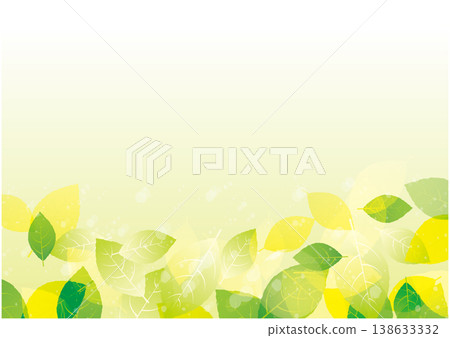 Green foliage background 138633332