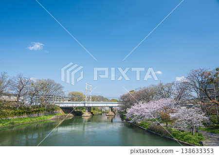 京都市伏見區堀川沿岸的春日景色 138633353
