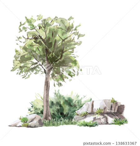 Landscape with a deciduous tree, bushes, and large rocks. Isolated watercolor illustration for websites about nature, ecology, landscape design, as well as educational and children's books. Landscape with a deciduous tree, bushes, and large rocks. Isolated watercolor illustration for websites about nature, ecology, landscape design, as well as educational and children's books. 138633367