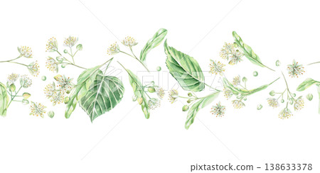 A seamless border of linden blossoms and leaves. Isolated watercolor illustration for flower shop designs, cosmetic brands, pharmacies, wedding printing, textiles, and packaging. A seamless border of linden blossoms and leaves. Isolated watercolor illustration for flower shop designs, cosmetic brands, pharmacies, wedding printing, textiles, and packaging. 138633378