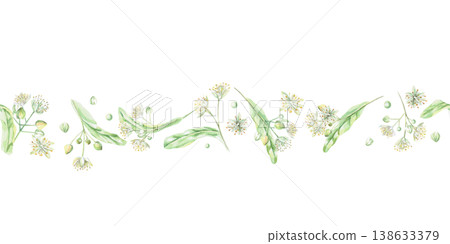 Seamless border of linden blossoms. Isolated watercolor illustration for flower shop designs, cosmetic brands, pharmacies, wedding printing, textile production, and packaging. Seamless border of linden blossoms. Isolated watercolor illustration for flower shop designs, cosmetic brands, pharmacies, wedding printing, textile production, and packaging. 138633379