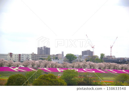 Arakawa Akabane Sakurajutsu Green Area Arakawa Akabane Sakurajutsu Green Area 138633548