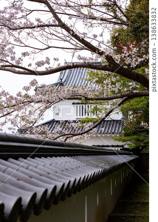 Omura Omura 138633832