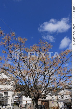 倉敷美學史區街景[倉敷考古博物館與苦參樹] 138634048