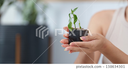 Close-up of hands holding a seedling in a pot Close-up of hands holding a seedling in a pot 138634301