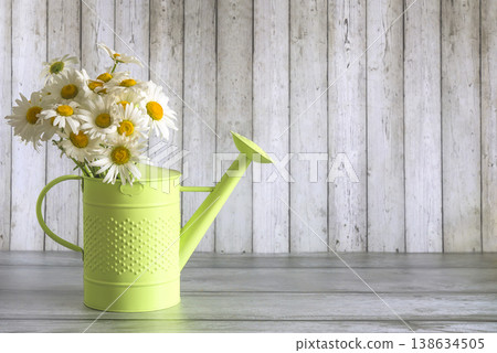 Bouquet of white daisy (marguerite or chamomile) flowers in a beautiful watering can on a wooden background with copy space 138634505