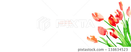 Watercolor painting. Watercolor-style tulip vector illustration. Spring tulip frame. Watercolor painting. Watercolor-style tulip vector illustration. Spring tulip frame. 138634523