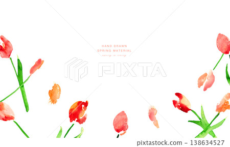 Watercolor painting. Watercolor-style tulip vector illustration. Spring tulip frame. Watercolor painting. Watercolor-style tulip vector illustration. Spring tulip frame. 138634527