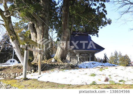 The shrine and two cedar trees at Matsuo Shrine in Oginoshima, Kashiwazaki City, Niigata Prefecture 138634566